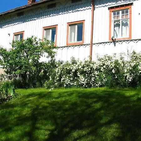 Koulutintti Punkalaidun