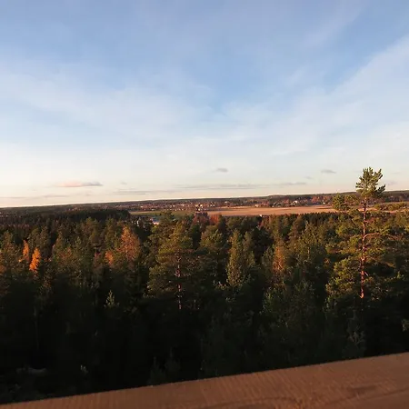 Bed & Breakfast Koulutintti Punkalaidun
