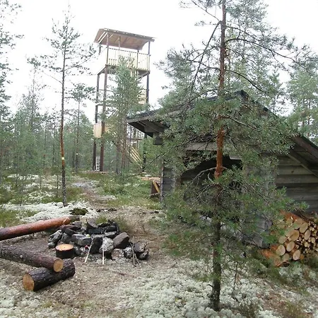 Koulutintti Punkalaidun